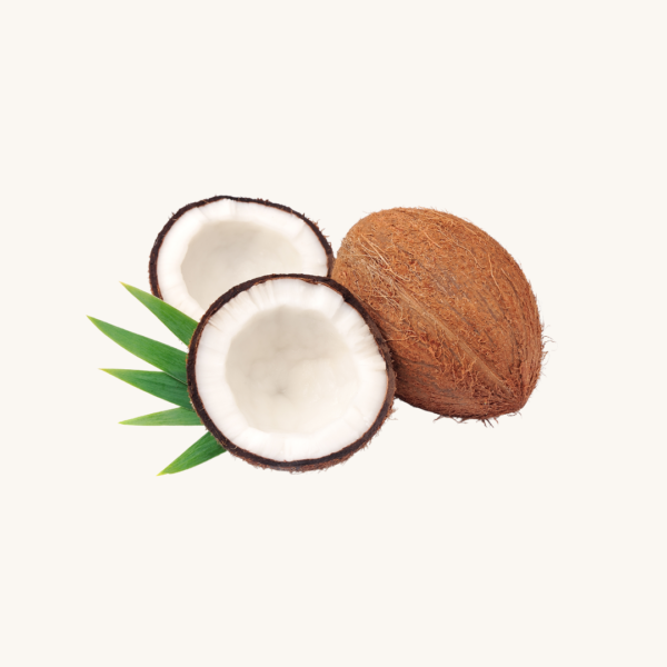 Pooja coconut